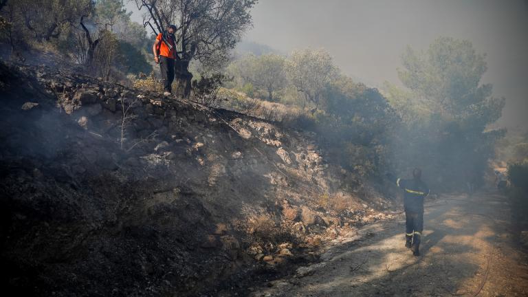 Φωτιά στον Σοφό Ασπροπύργου