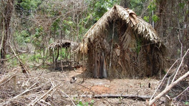 BRAZIL INDIGENOUS