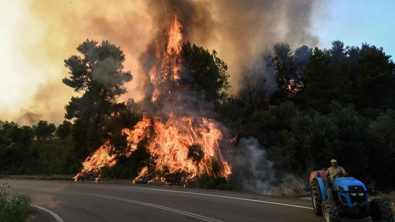 Μεγάλη η φωτιά στον Σχίνο Μεσσηνίας 