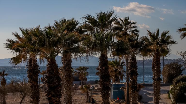 Με ανοιξιάτικο καιρό κάνει ποδαρικό ο Νοέμβριος 