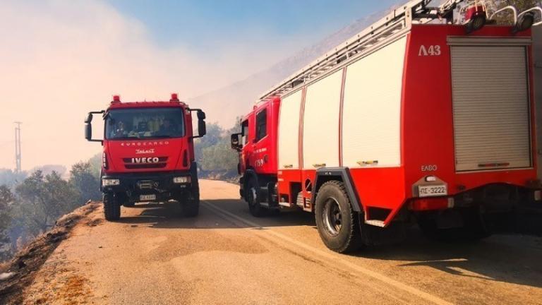 Συνεχίζεται η επιχείρηση κατάσβεσης της πυρκαγιάς στο Παπίκιο Όρος