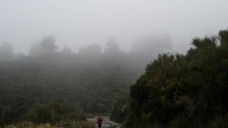 Σημαντικά αναμένεται να επηρεαστεί η Κρήτη από την κακοκαιρία «GAIA».  Τα κύρια χαρακτηριστικά του καιρού θα είναι οι ισχυρές βροχές και καταιγίδες, μεγάλα ύψη υετού, θυελλώδεις νότιοι άνεμοι και τοπικές χαλαζοπτώσεις.  Σύμφωνα με ανακοίνωση της Πολιτικής Προστασίας Περιφέρειας Κρήτης, η Κρήτη θα επηρεαστεί από αύριο, Κυριακή, ενώ επισημαίνεται ότι όλες οι Υπηρεσίες και τα Τεχνικά Μέσα της Περιφέρειας Κρήτης που αποτελούν τον μηχανισμό πολιτικής προστασίας έχουν τεθεί σε κατάσταση αυξημένης ετοιμότητας, σύμ