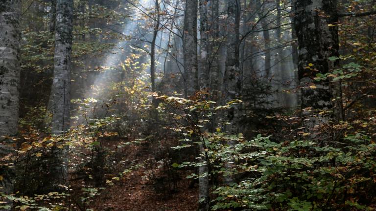 Κορύφωση της θερμής εισβολής το Σαββατοκύριακο