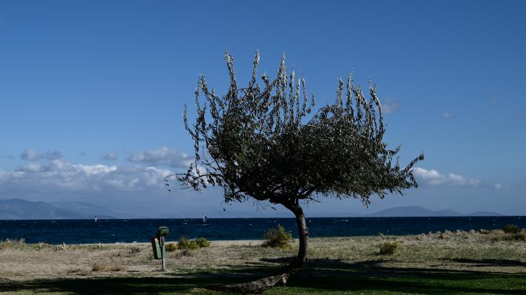 Καιρός 22/12: Άνοδος της θερμοκρασίας 