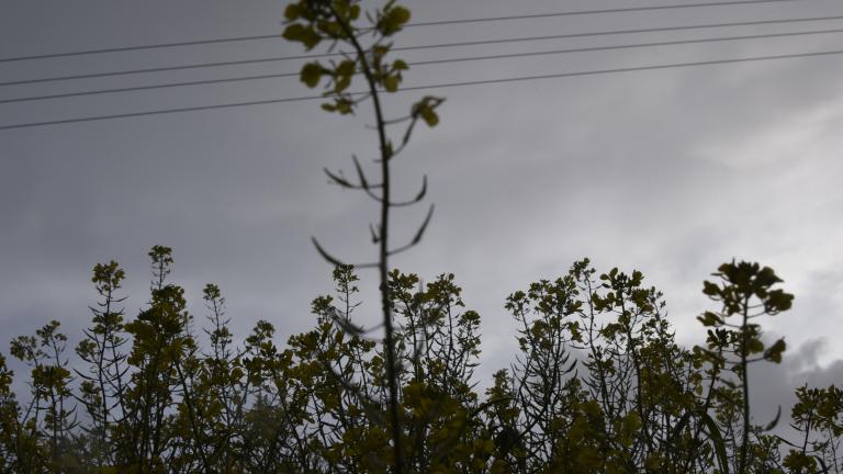 Καιρός (1/3): Λασποβροχή και υψηλές, για την εποχή, θερμοκρασίες 