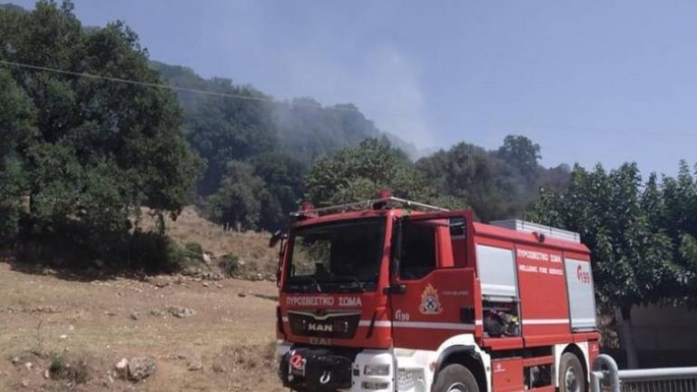 Μεγάλη φωτιά σε πευκοδάσος στο Κυπαρίσσι Αχαΐας