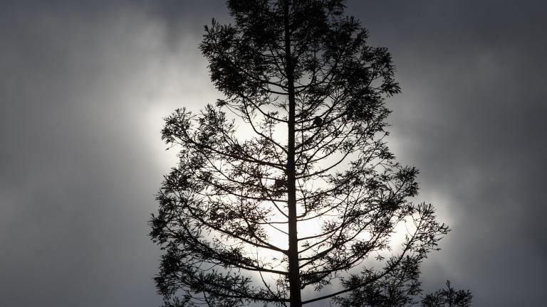 Πρόγνωση του καιρού για την Δευτέρα 6 Μαρτίου