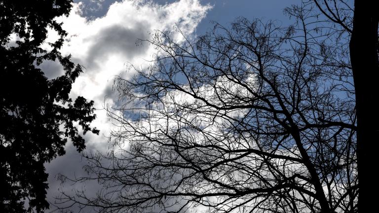 ΚΟΝΤΑΡΙΝΗΣ ΓΙΩΡΓΟΣ EUROKINISSI)