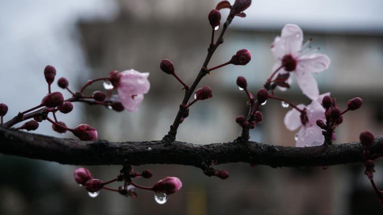 (ΘΑΝΑΣΗΣ ΚΑΛΛΙΑΡΑΣ/EUROKINISSI)