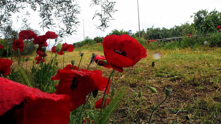 Καιρός 06/05: Λίγες τοπικές βροχές 