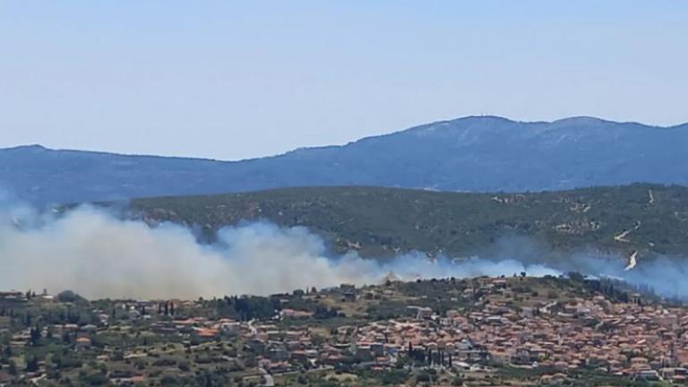 Πυρκαγιά στη Σάμο 