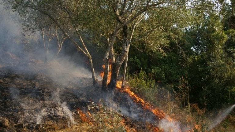 Φωτιά στον Ασπρόπυργο