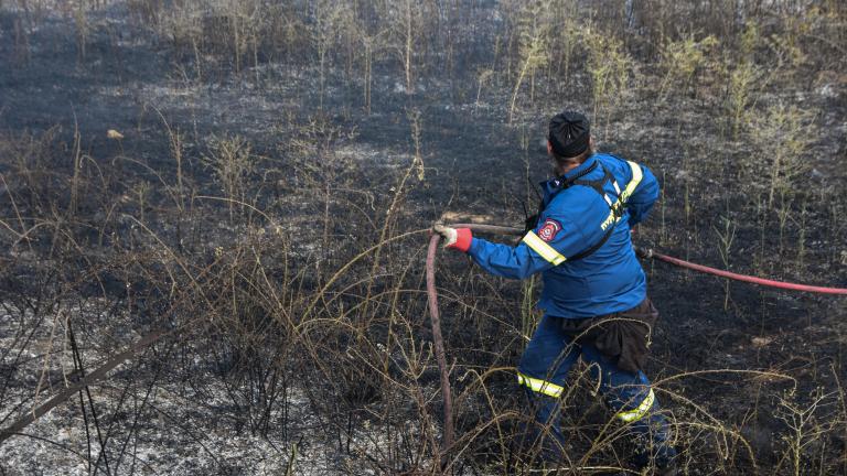 Πυρκαγιά στην Ίρια Αργολίδας	