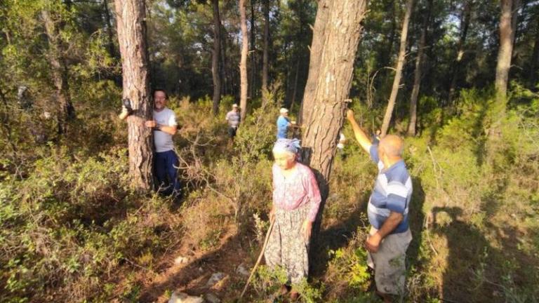 Τουρκία: Επεισοδιακές διαδηλώσεις στο δάσος Άκμπελεν