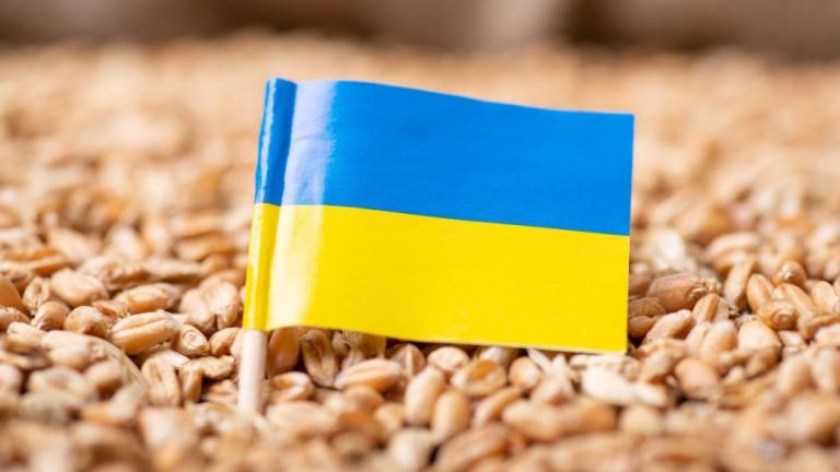  Ουκρανία: Το Κίεβο ανακοίνωσε ότι σε διάστημα εννέα ημερών καταστράφηκαν από τις ρωσικές αεροπορικές επιδρομές 180.000 τόνοι σιτηρών 