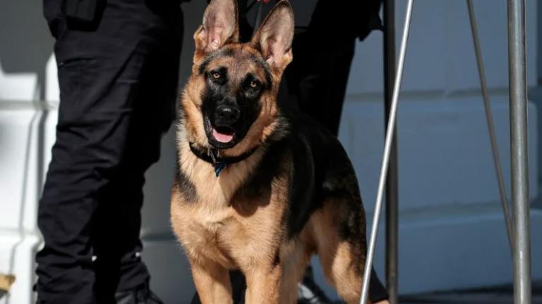 Ο σκύλος του προέδρου Μπάιντεν... δαγκώνει