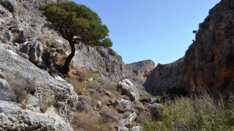 Επιχείρηση για τον εντοπισμό άνδρα στο φαράγγι Χοχλακιών στη Σητεία