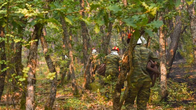 H συνδρομή των Ενόπλων Δυνάμεων στα μέτωπα των πυρκαγιών 