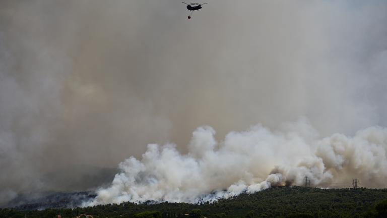 Φωτιά στα Δερβενοχώρια: Μέσα στον οικισμό της Νέας Ζωής οι φλόγες 