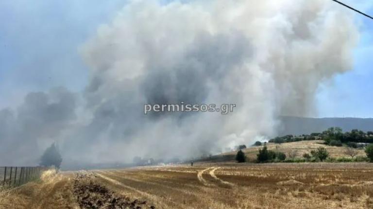 Μεγάλη φωτιά σε εξέλιξη στο Καπαρέλλι Βοιωτίας 