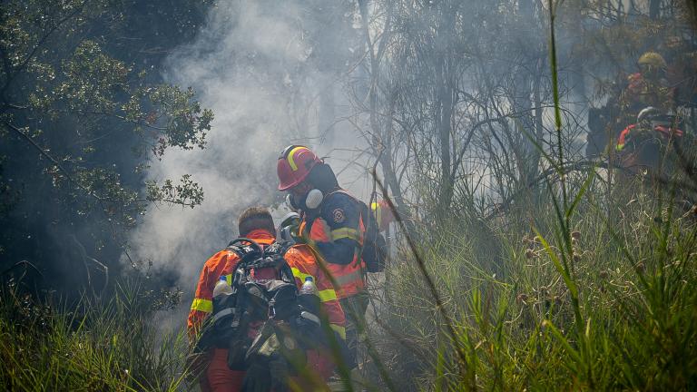 Kαλή εικόνα παρουσιάζουν οι τρεις φωτιές στην Ηλεία