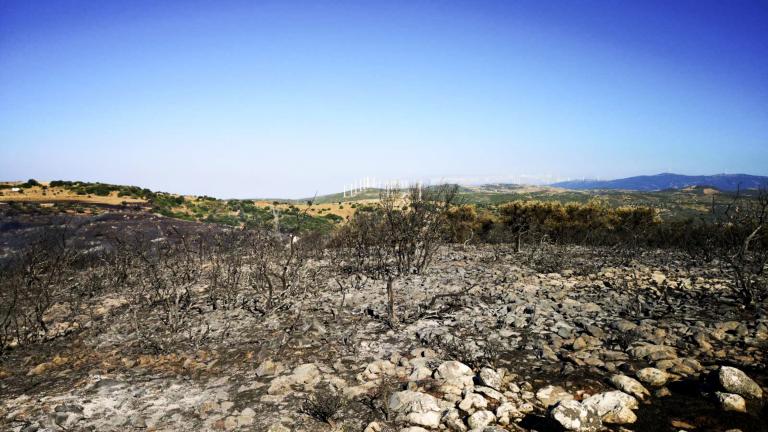 Νεκρός ο αγνοούμενος κτηνοτρόφος στην Εύβοια 