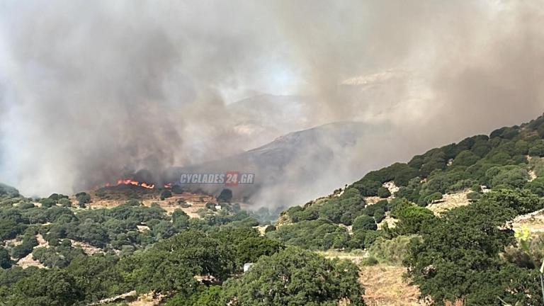 Ολονύχτια μάχη με τις φλόγες στη Νάξο 