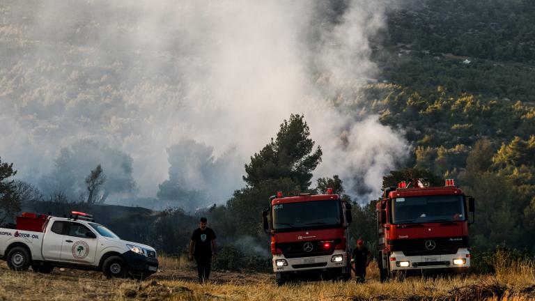 Πυρκαγιά στην Ψάθα Αττικής	