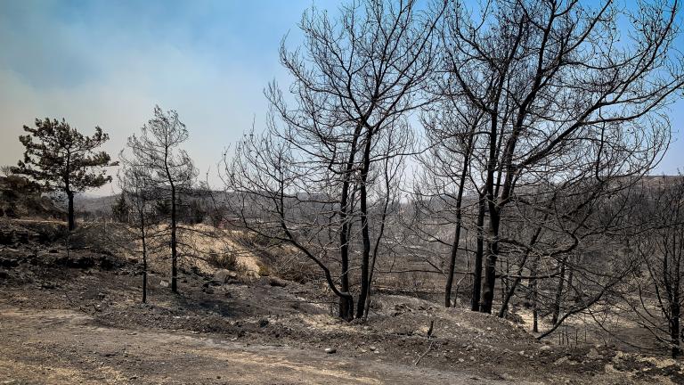 Μαύρος Ιούλιος! Tα υψηλότερα επίπεδα καμένων εκτάσεων των τελευταίων δεκατριών ετών