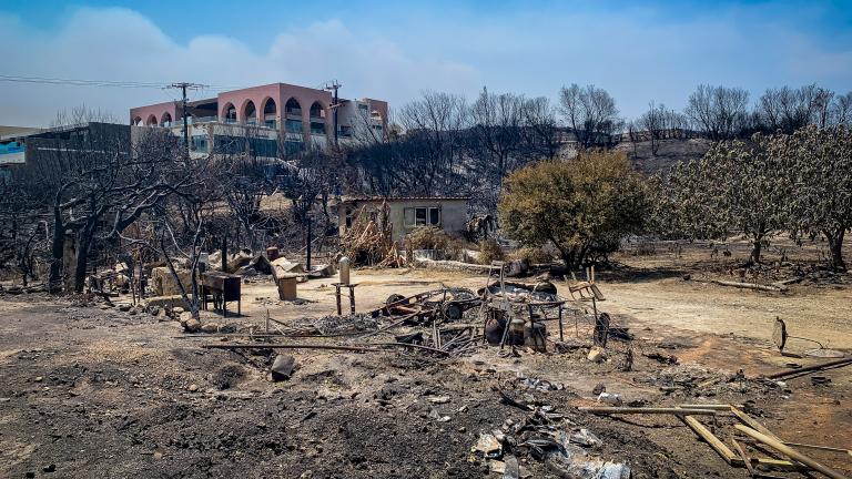 Συνολικά 50.000 ελαιόδεντρα και 2.500 ζώα «χάθηκαν» από τη φωτιά στη Ρόδο