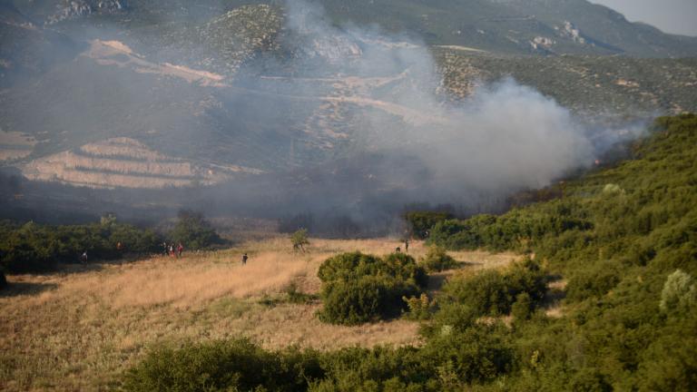 Συνελήφθη ένα άτομο στην Καλαμάτα για πρόκληση πυρκαγιάς από αμέλεια	