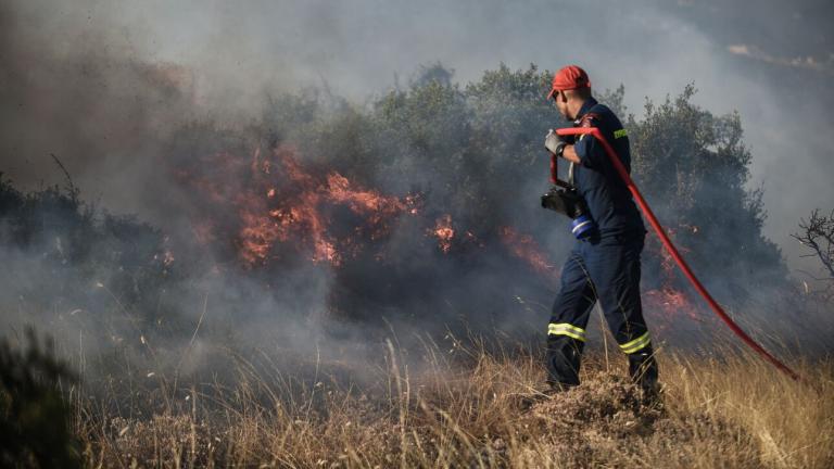 Μεγάλη πυρκαγιά στη Χίο 