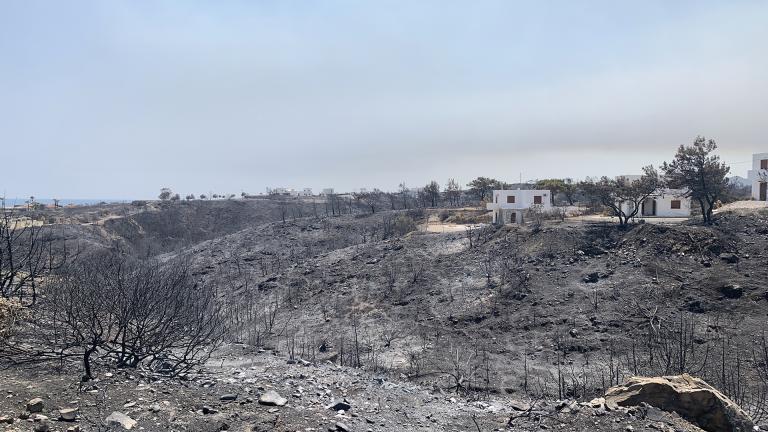 Μετά και την αποστολή του ψηφιακού αρχείου από τον ΕΛΓΑ με τους δικαιούχους παραγωγούς, η απόφαση κατατίθεται στην Κυβερνητική Επιτροπή Κρατικής Αρωγής, για να ληφθούν οι αναγκαίες αποφάσεις για τον προϋπολογισμό των αποζημιώσεων.  Σημειώνεται πως τα στελέχη του ΕΛΓΑ πραγματοποιούν αυτοψίες σε όλες τις περιοχές, οι οποίες επλήγησαν από την πύρινη λαίλαπα και συγκεκριμένα σε Μαγνησία, Ρόδο και Κέρκυρα.  Ειδικότερα, στη Μαγνησία ολοκληρώνεται εντός των ημερών η καταγραφή απωλειών του ζωικού κεφαλαίου, ενώ στη