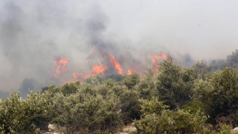 Στη σύλληψη μίας γυναίκας η οποία μαγείρευε στο σημείο που προκλήθηκε πυρκαγιά χθες Σάββατο στην Ερεσό της Λέσβου προχώρησαν οι αρχές του νησιού.  Η φωτιά η οποία έκαψε τρία περίπου στρέμματα καλαμιές και χαμηλή βλάστηση, προκλήθηκε, όπως διαπιστώθηκε, από μια γυναίκα που μαγείρευε στο σημείο με πετρογκαζ.  Τη φωτιά κατάφεραν οι παραθεριστές και οι λουόμενοι που βρίσκονταν στην περιοχή να την συγκρατήσουν μέχρι να μεταβεί πυροσβεστικό όχημα και να την θέσει υπό πλήρη έλεγχο.