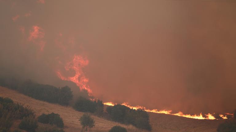  (ΒΑΣΙΛΗΣ ΒΕΡΒΕΡΙΔΗΣ / ΜΟΤΙΟΝ ΤΕΑΜ)