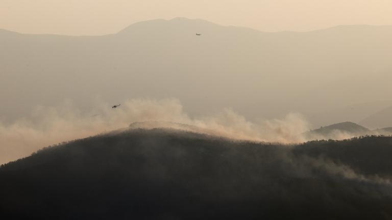 (ΓΡ. ΤΥΠΟΥ ΠΡΩΘΥΠΟΥΡΓΟΥ ΔΗΜΗΤΡΗΣ ΠΑΠΑΜΗΤΣΟΣ/EUROKINISSI)