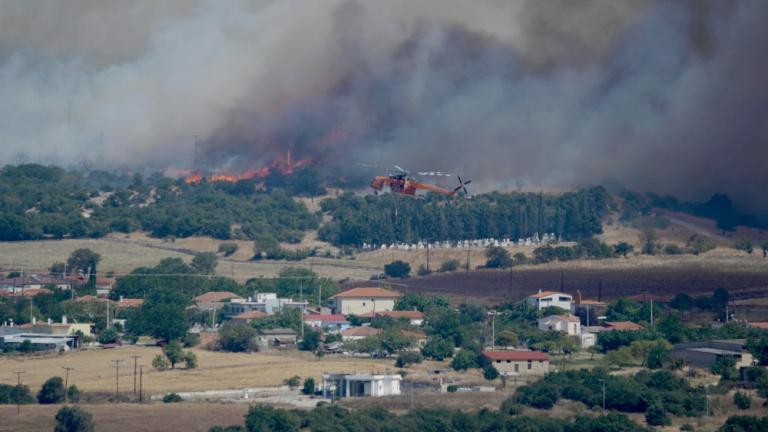 fotia alexandroupoli 20-8