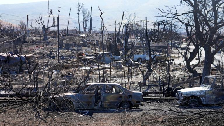 Hawaii Maui fires