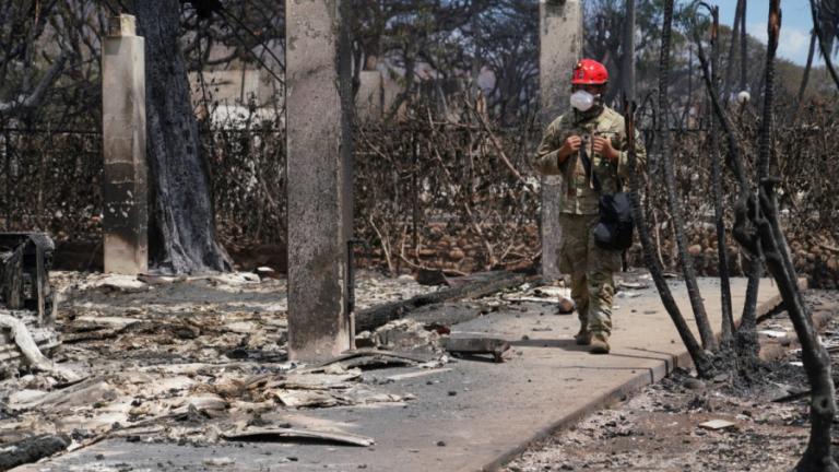 Hawaii fires