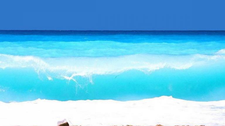 Λευκάδα: Διάσωση πέντε ατόμων στην παραλία Κάθισμα	