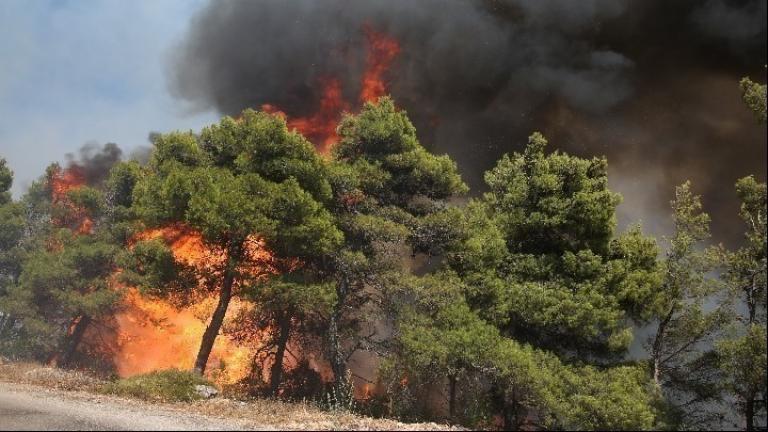 Φωτιά ξέσπασε το απόγευμα σε δασική έκταση στην περιοχή Αρδεία Ροδόπης. Η περιοχή είναι δύσβατη, γεγονός που δυσκολεύει τις προσπάθειες των πυροσβεστών. Στο σημείο επιχειρούν 35 πυροσβέστες με 1 ομάδα πεζοπόρου τμήματος, 13 οχήματα, 2 αεροσκάφη και 2 ελικόπτερα.     Ελασσόνα  Σε εξέλιξη βρίσκεται η φωτιά που καίει σήμερα στον Όλυμπο και συγκεκριμένα σε δύσβατη πευκόφυτη περιοχή κοντά στην κοινότητα Καρυάς Ελασσόνας.  Στο σημείο επιχειρούν πεζοπόρα τμήματα της Πυροσβεστικης, ενώ συνδράμουν και εθελοντές. Στο