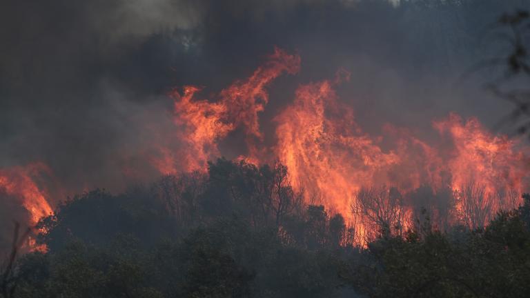 Για 16η ημέρα καίει η φωτιά στον Έβρο -Σε Λευκίμμη και Προβατώνα το ενεργό μέτωπο