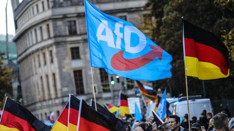 afd germany