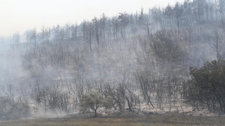 Φωτιά στον Έβρο: Στο μέτωπο βόρεια του Σουφλίου έχουν επικεντρωθεί οι προσπάθειες πυρόσβεσης 