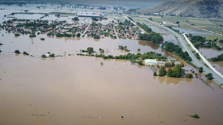 georganades trikala .