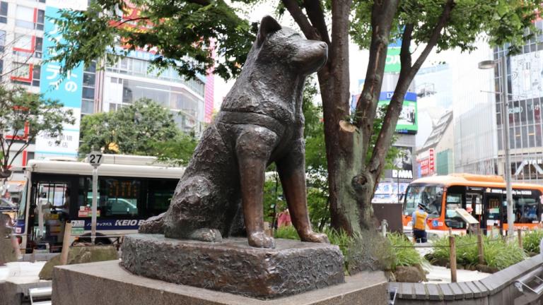 hachiko