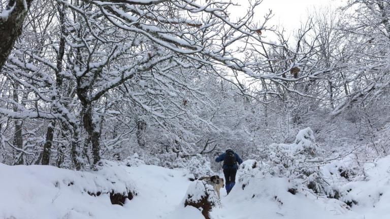 Χιονίζει στα ορεινά της Εύβοιας και της Βοιωτίας-Σε ποιους δρόμους είναι απαραίτητες οι αντιολισθητικές αλυσίδες