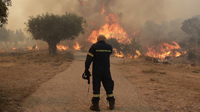 Πυρκαγιά σε αγροτοδασική έκταση στην Αγία Τριάδα Βοιωτίας - Σηκώθηκαν και εναέρια μέσα