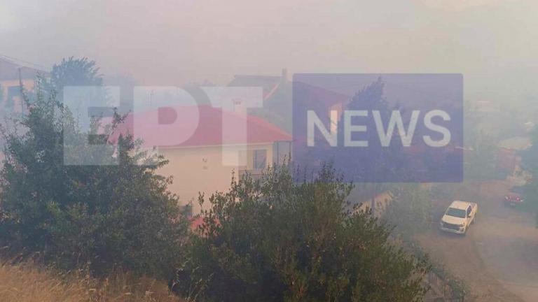 Καλαμπάκα: Φωτιά σε δασική έκταση στο Ορθοβούνι – Μήνυμα του 112