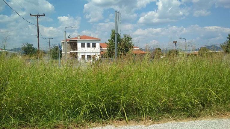 Εκπνέει στις 30 Ιουνίου η προθεσμία καθαρισμού οικοπέδων
